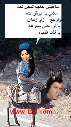 nancy 3la bosh